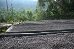 Ethiopia - Anasora Site