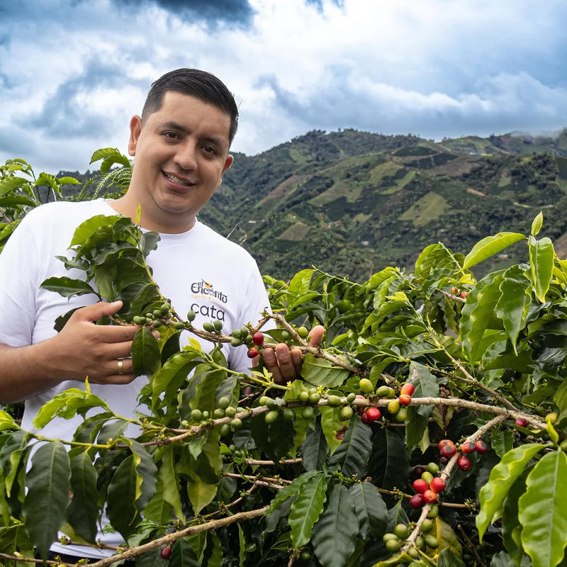 Colombia – Finca El Encanto / Papayo