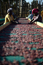 Ethiopia - Anasora Site