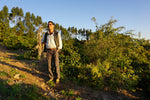 Brazil - Sitio Sassafras