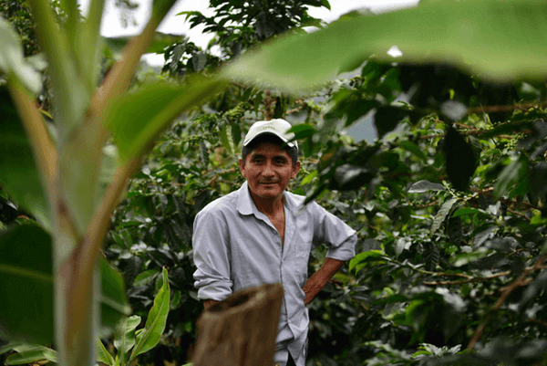 Peru - Efrain Carhuallocllo