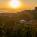Brazil - Sitio Siriema