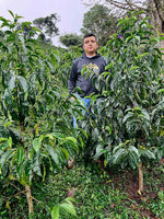 Colombia - Finca El Diviso / Gesha
