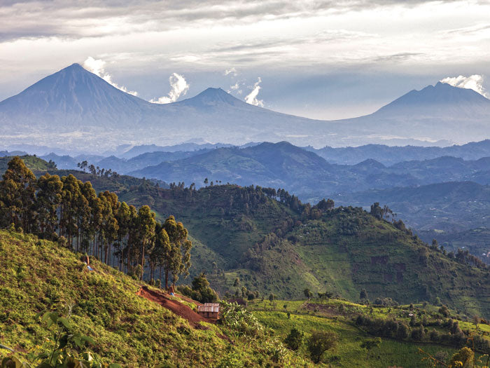 Photo of Rwanda - Shangi Site