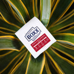 Guatemala - Finca La Esperanza