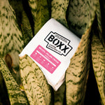 Brazil - Felipe Croce